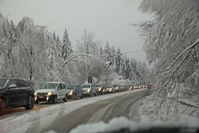 26 dicembre 2013 belluno cadore maltempo neve con piante cadute