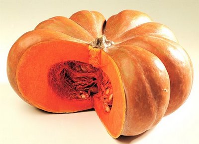 zucca_ROSSA