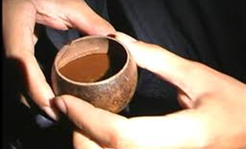 ayahuasca