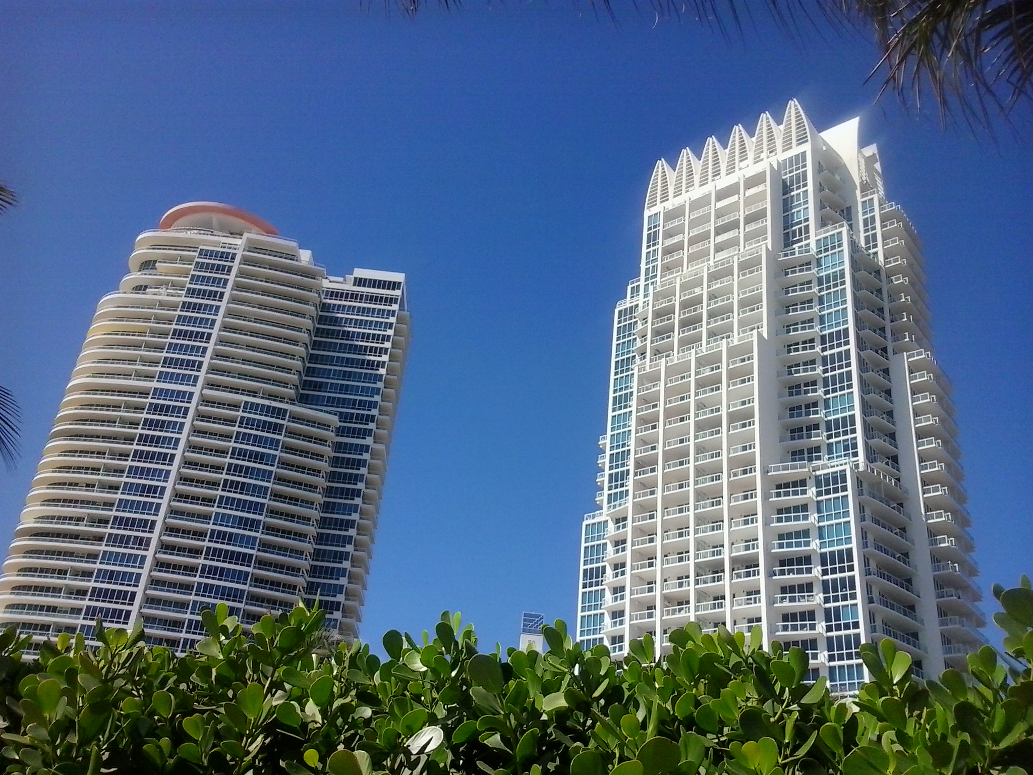 Grattacieli tra il verde