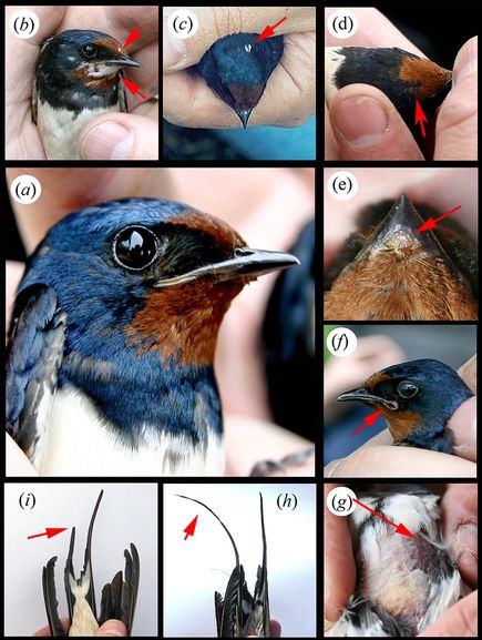 103602088-952d9b9d-c1fa-45c5-853f-d921bc18b08d