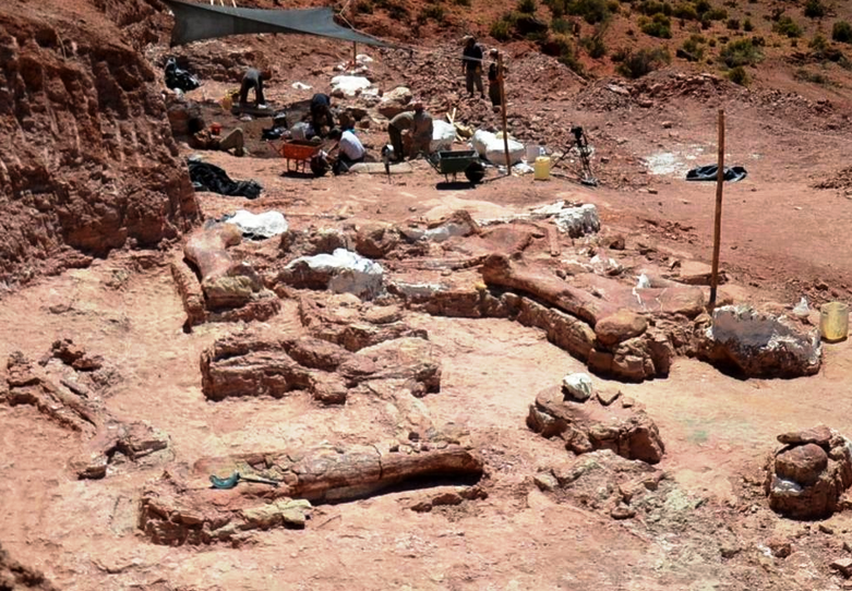 Dinosauro scoperto in Argentina