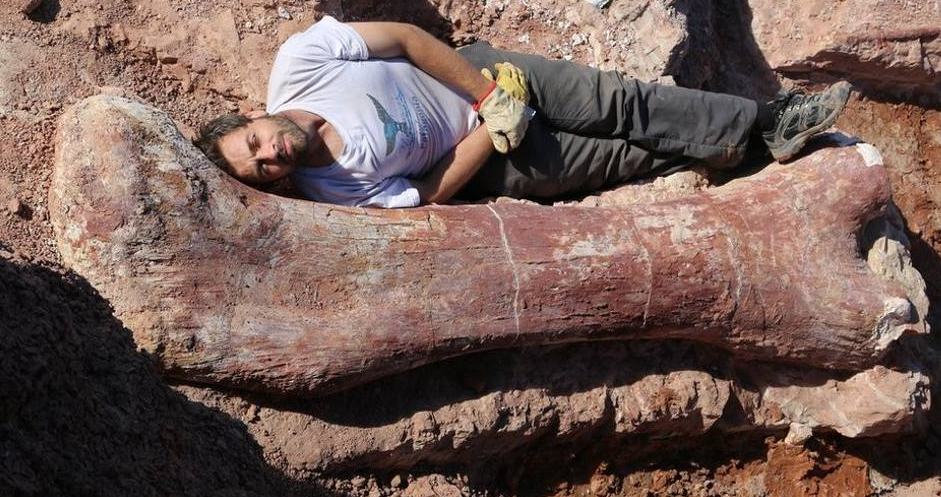 Dinosauro scoperto in Argentina