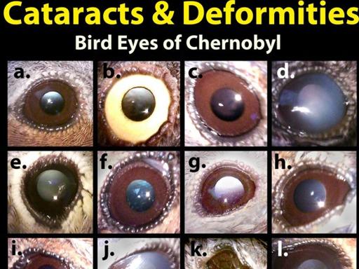 che5-kykE-U4301021459546360UF-512x384@Corriere-Web-Sezioni