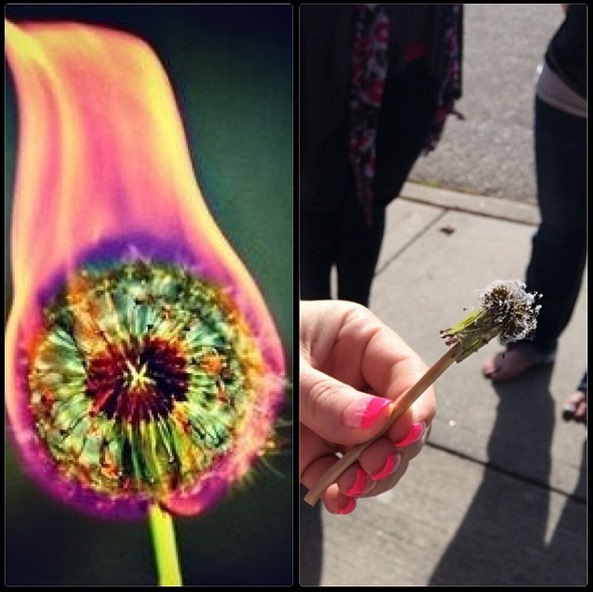 enhanced-4925-1401737753-1