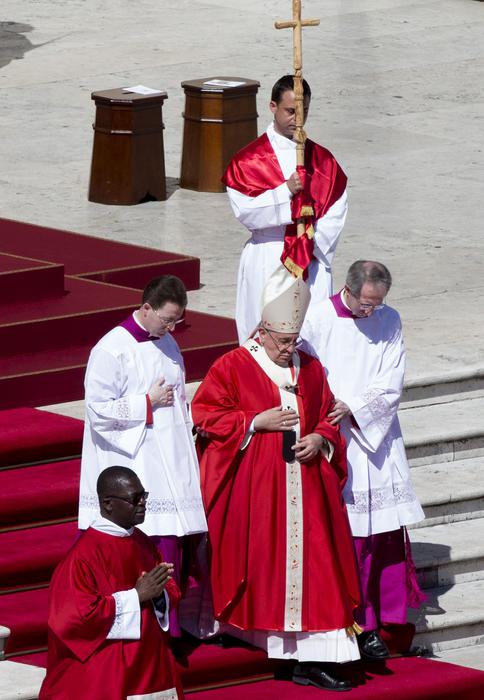 Il Papa durante la messa