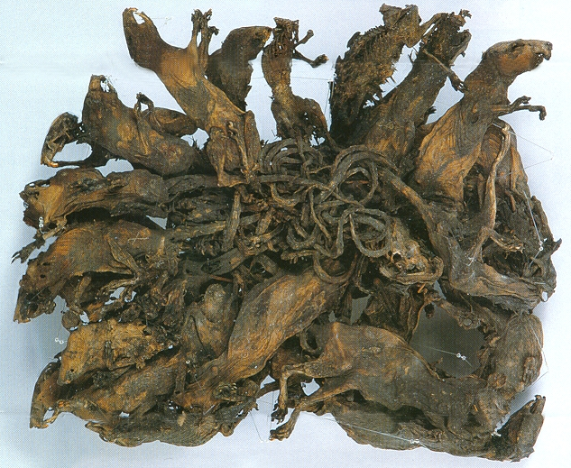 Le pagine più spaventose di Wikipedia