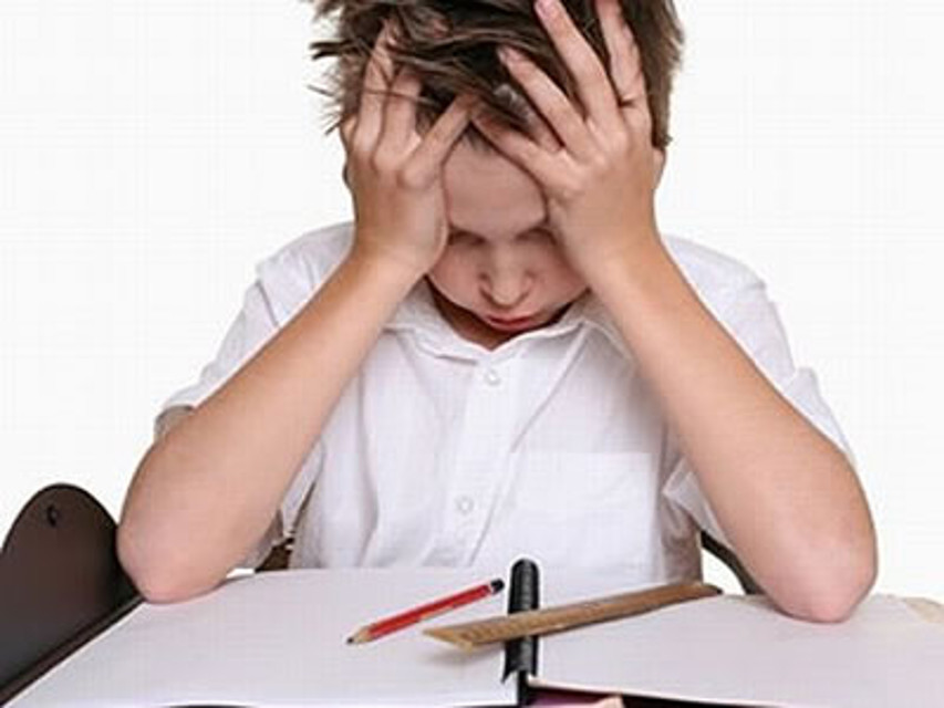 Studente perfetto o svogliato? La risposta sta nel DNA