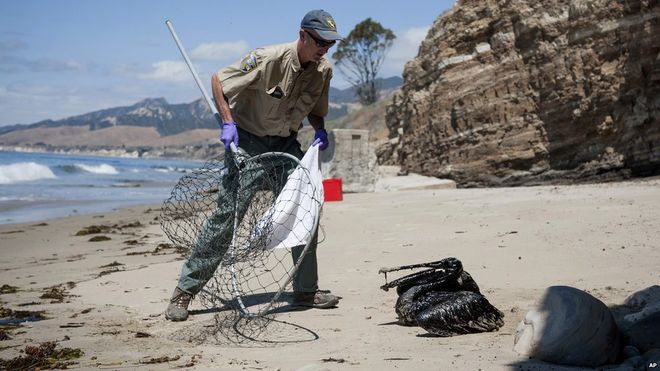 Addetti che puliscono la costa