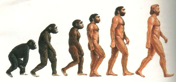 Evoluzione dalla scimmia all'uomo