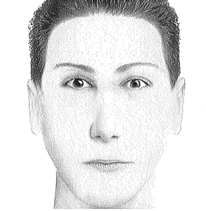 Identikit dell'aggressore