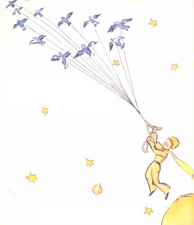 Il Piccolo Principe a teatro