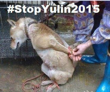 Hashtag dedicata alla campagna Stop Yulin