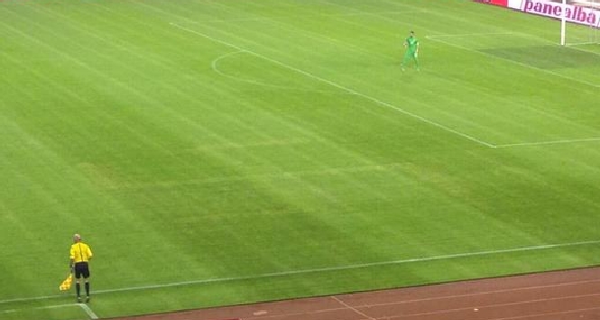 La svastica sul campo