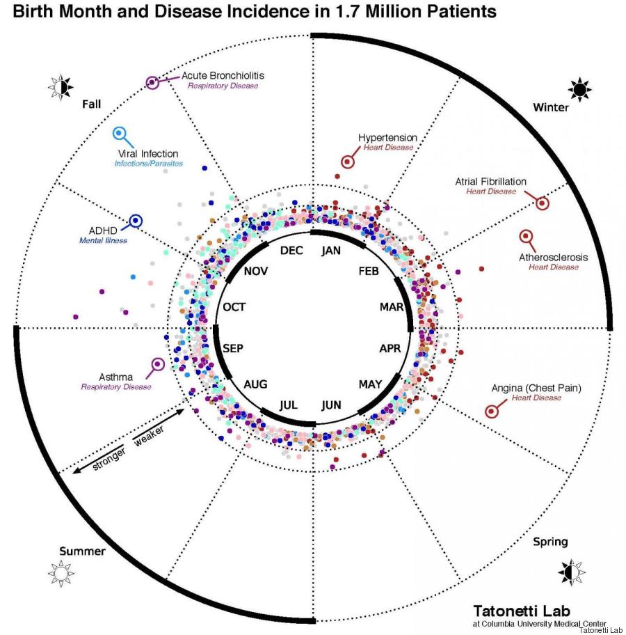 Lo schema che spiega la relazione tra mese di nascita e malattie