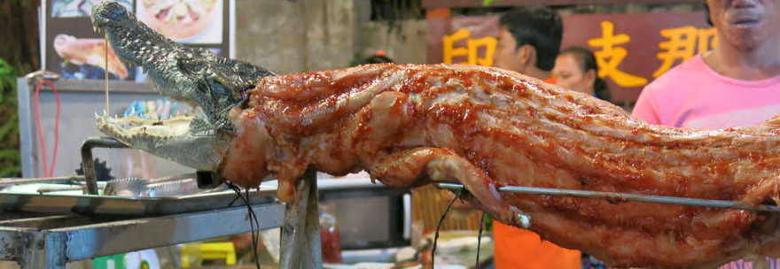 Expo: Padiglione Zimbawe ospita carne di coccodrillo