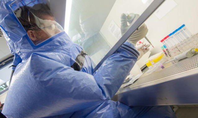 La ricerca sul vaccino per l'ebola sembra al termine