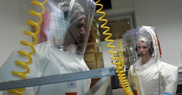 La ricerca sul vaccino per l'ebola sembra al termine