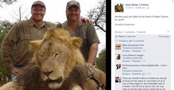 La protesta per l'uccisone di Cecil monta sul web