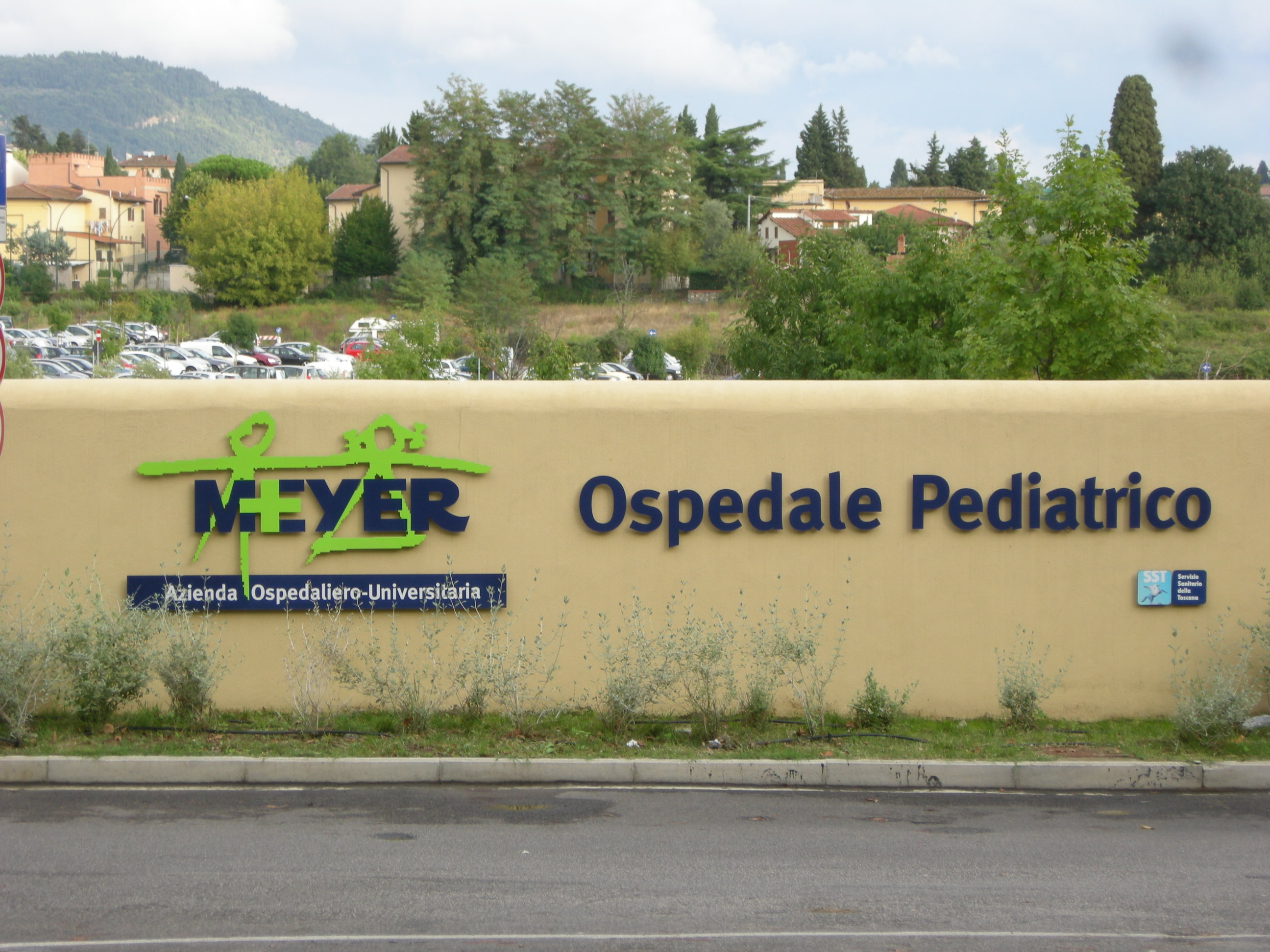 Ospedale Meyer