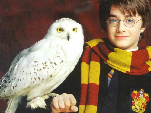 Harry Potter nel primo film