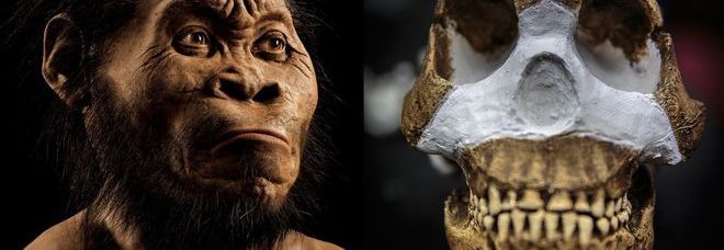 Homo Naledi 2