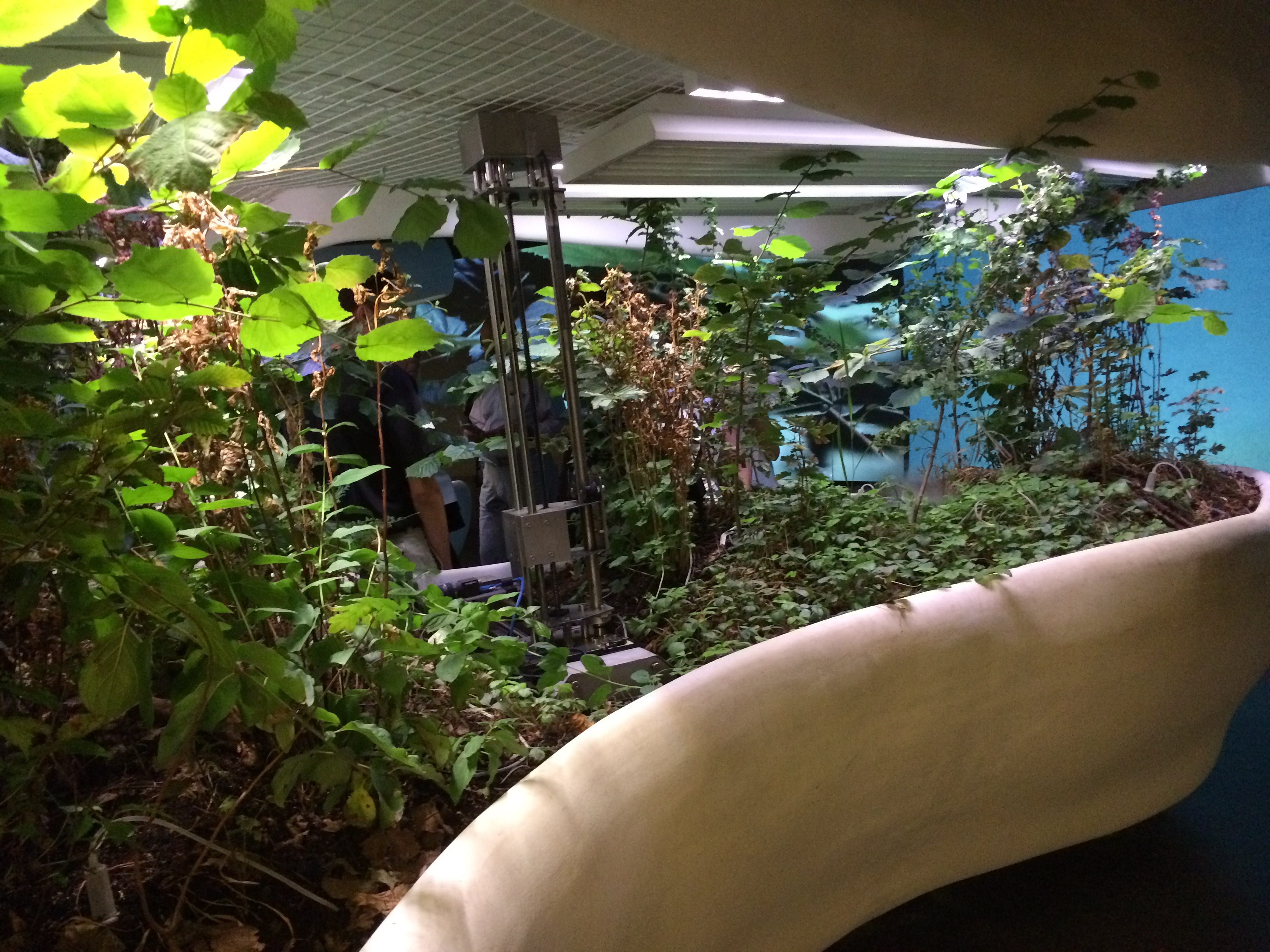 Interno Padiglione Repubblica Ceca