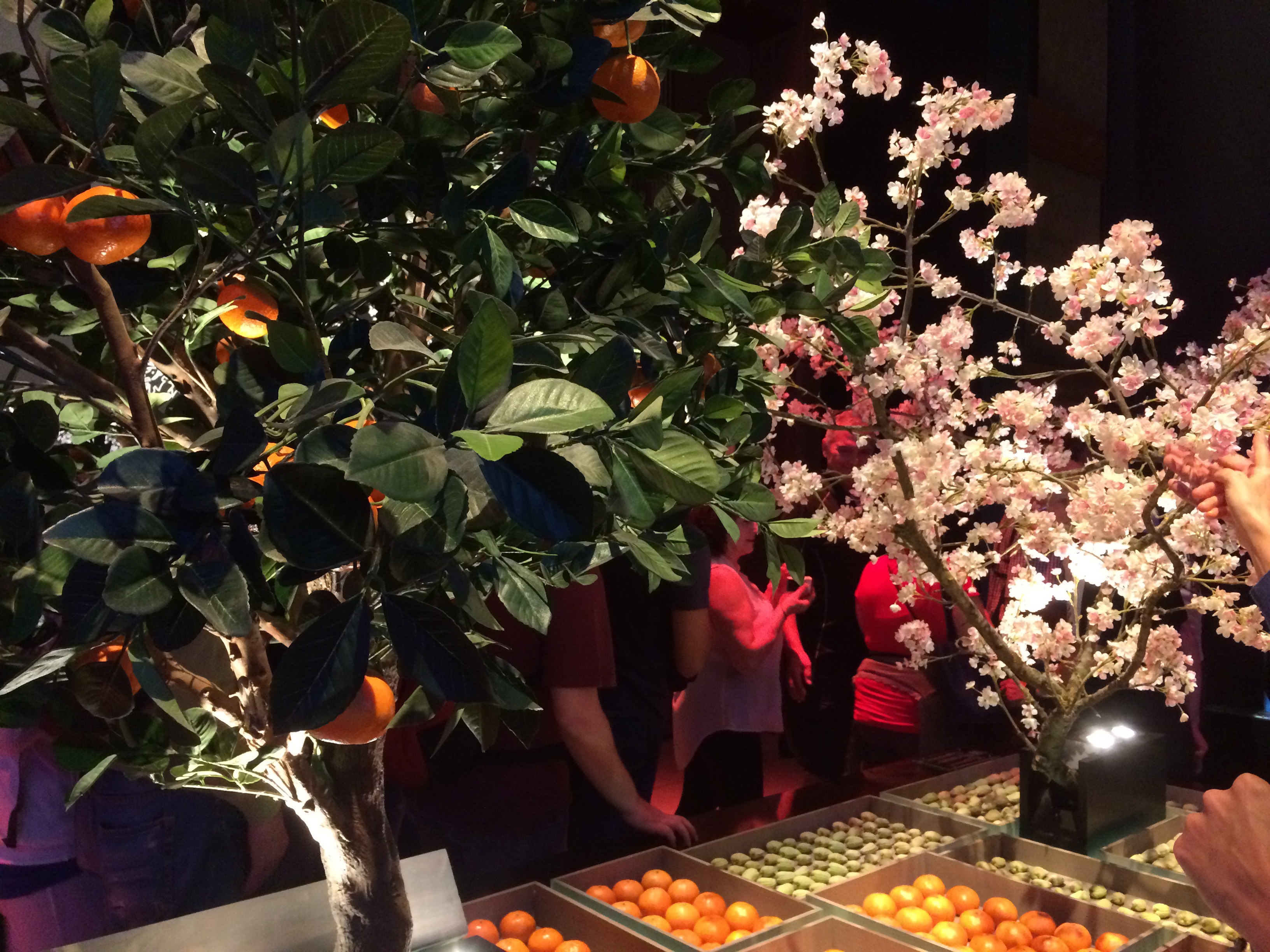 Interno Padiglione Marocco - 1