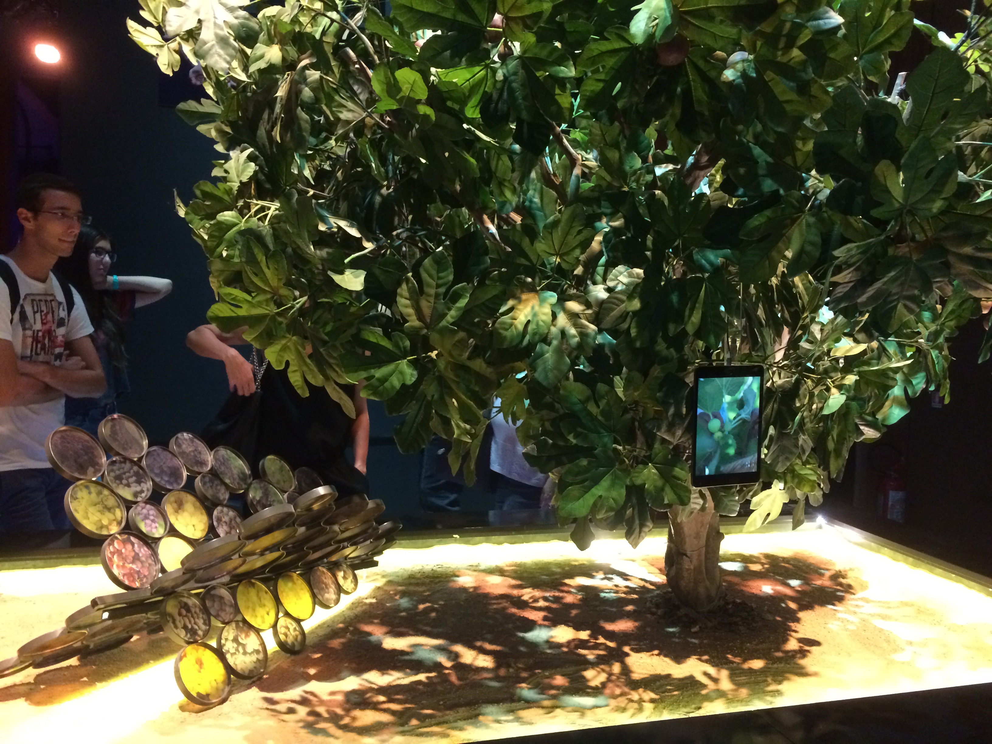 Interno Padiglione Marocco - 2