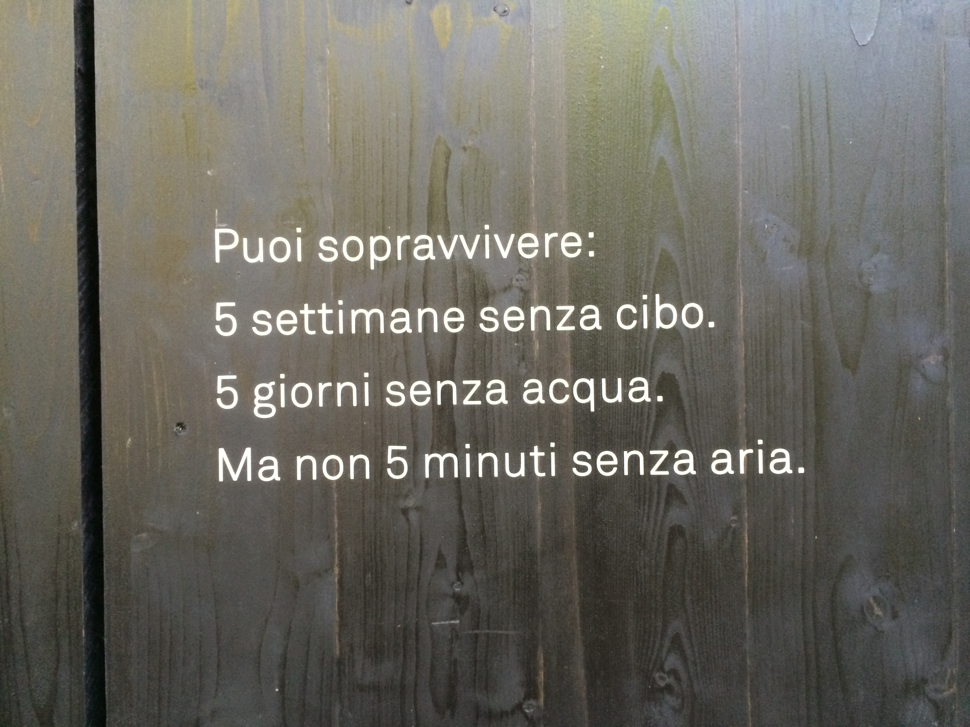 Interno Padiglione Austria - 1