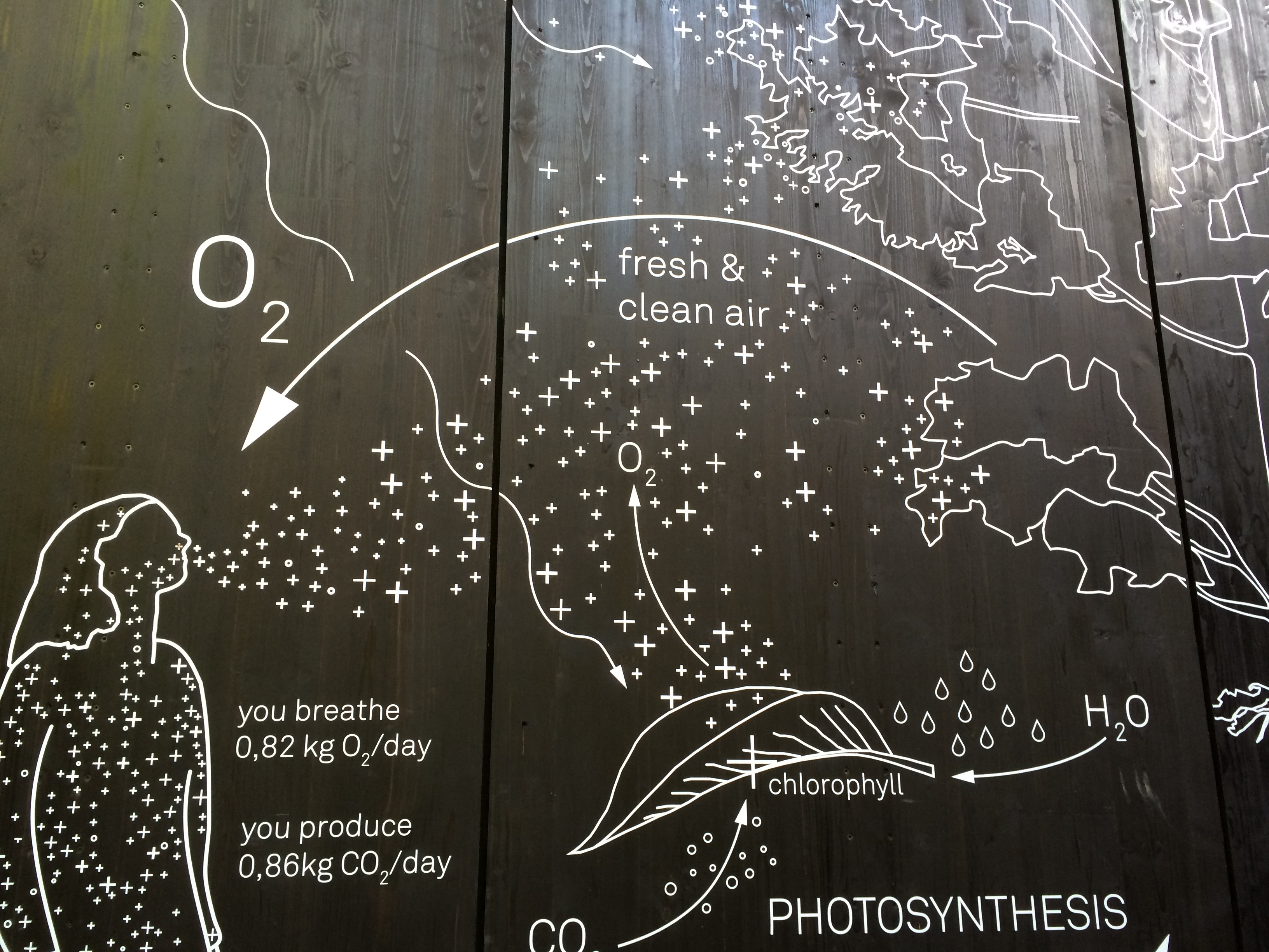 Interno Padiglione Austria - 2