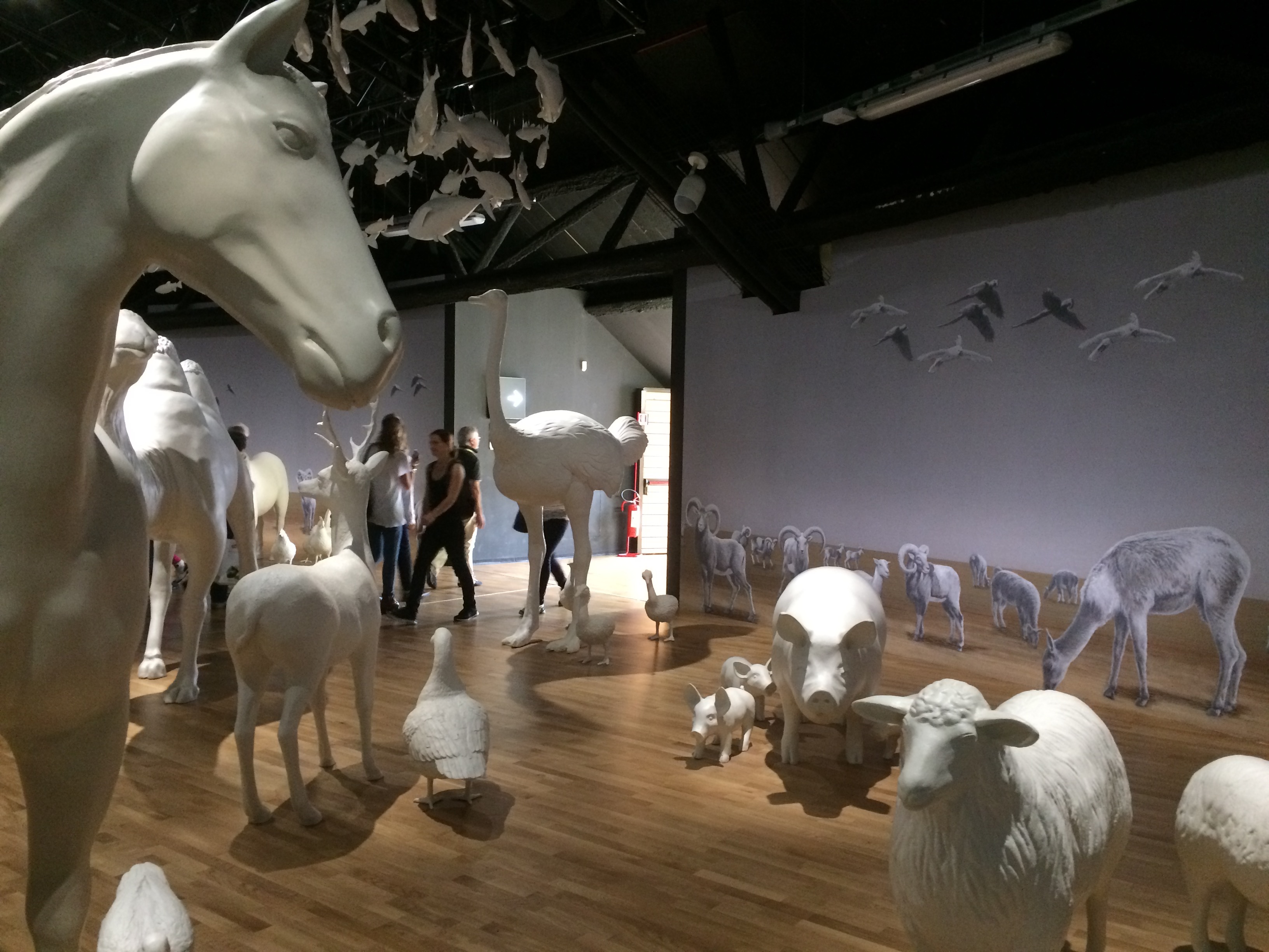 Interno Padiglione Zero - 1