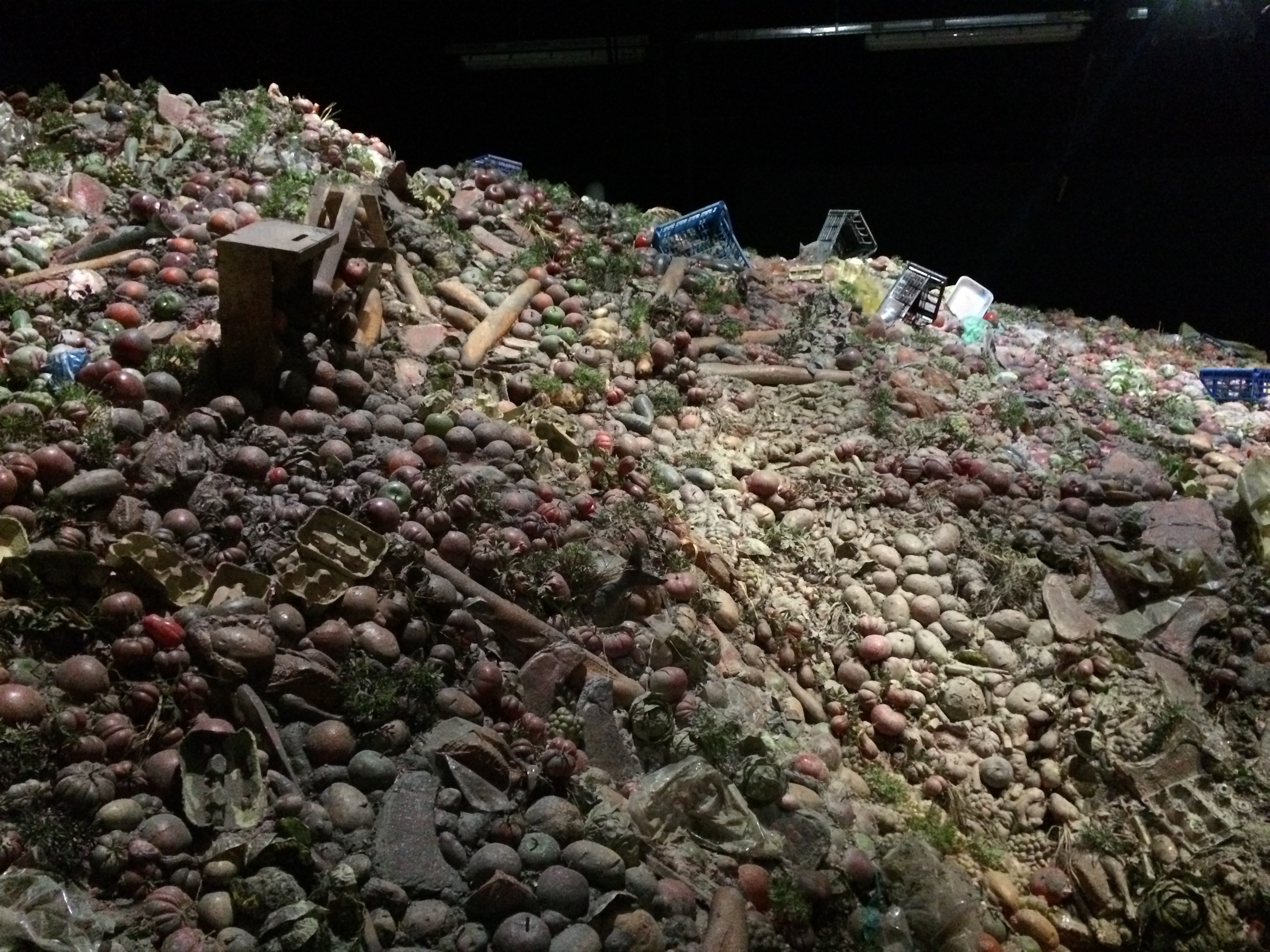 Interno Padiglione Zero - 4