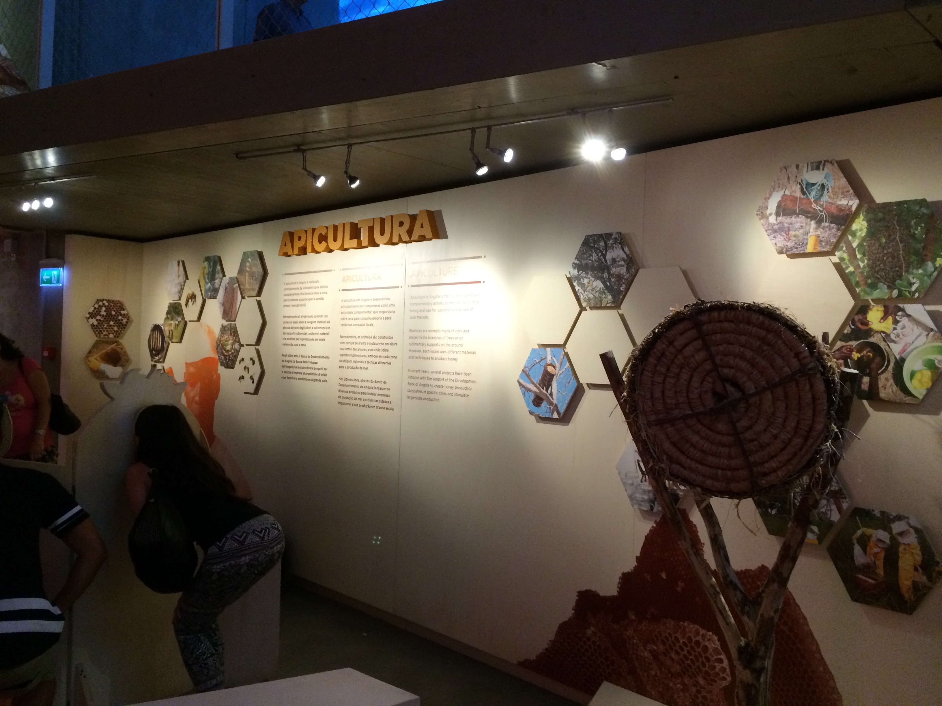 Interno Padiglione Angola - 1