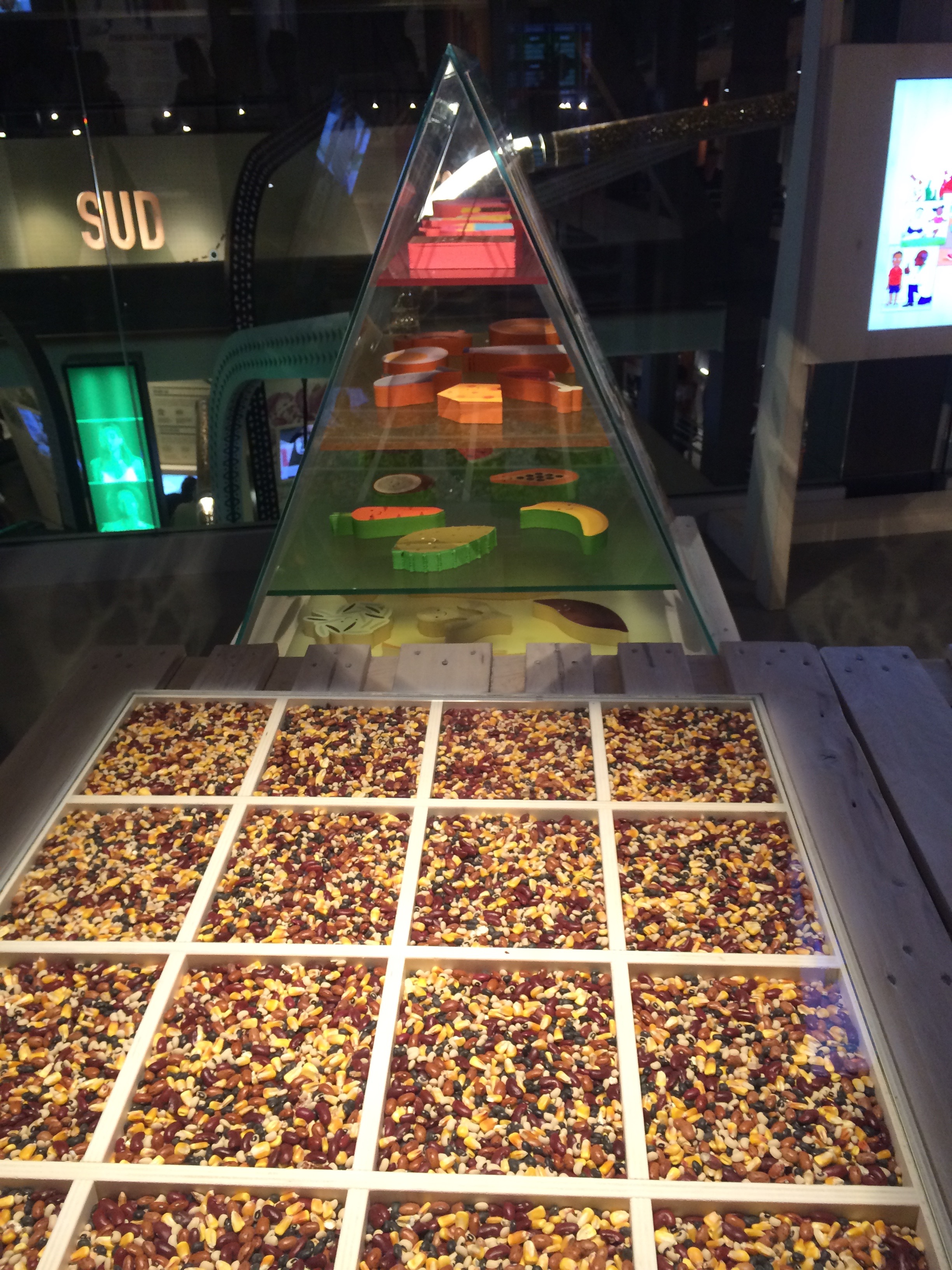 Interno Padiglione Angola - 3