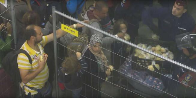 Migranti Ungheria - 5