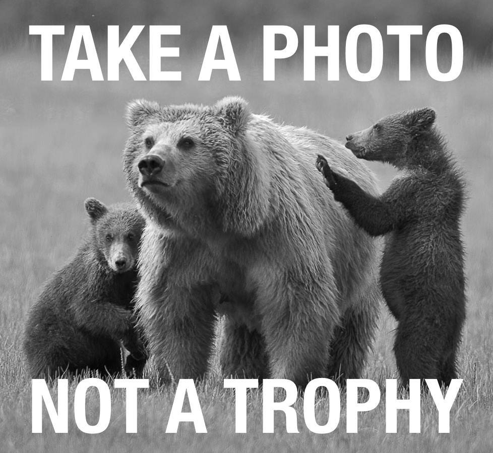 Proteste contro la caccia 2