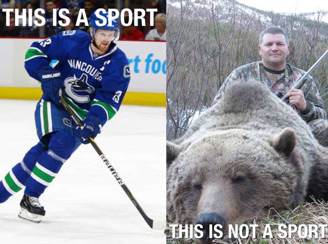 Proteste contro la caccia