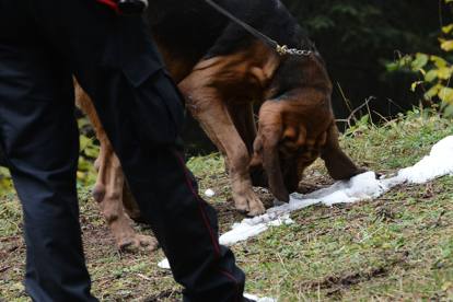 Ricerche degli scomparsi