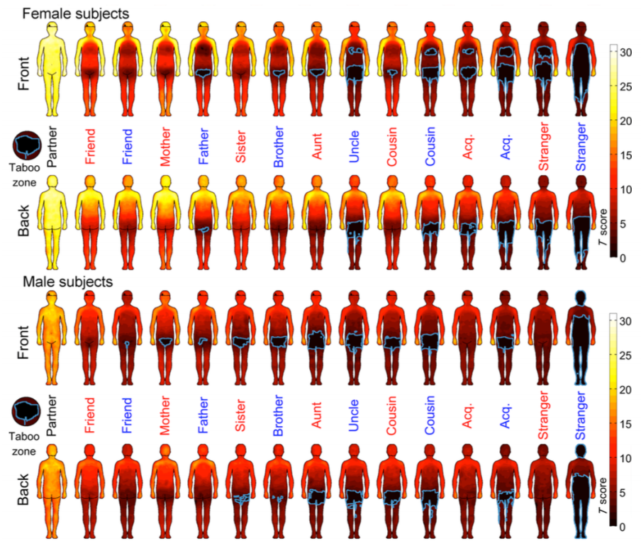 Mappa del contatto fisico