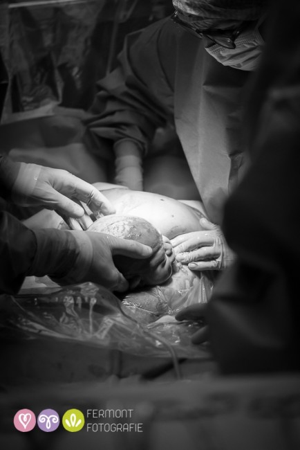 Fotografia di nascita 8
