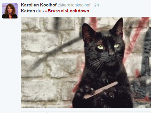#BrusselsLockDown 3