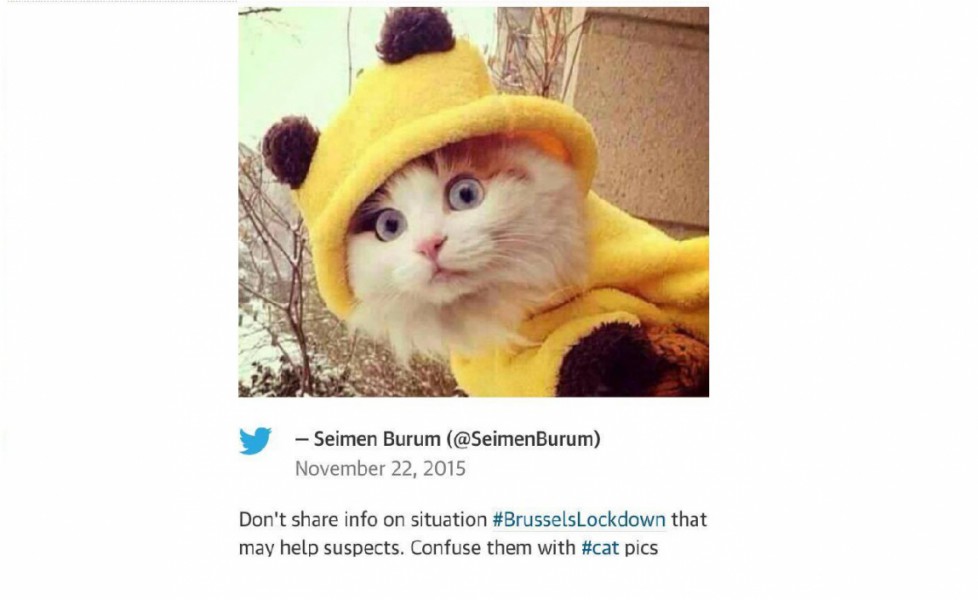 #BrusselsLockDown 7