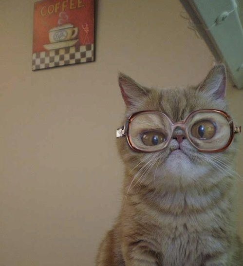 #BrusselsLockDown 10