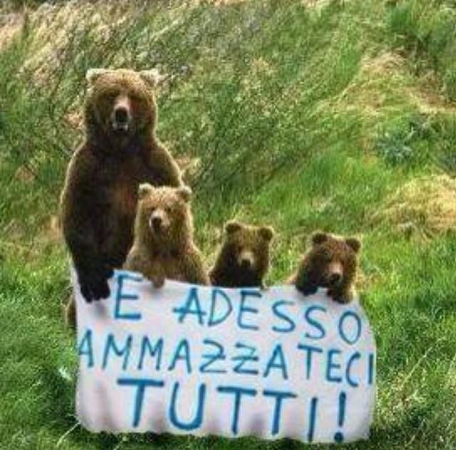 Campagna dedicata a Daniza