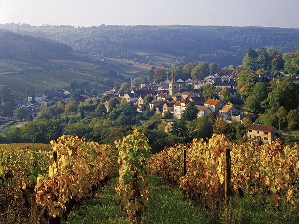 Cote d'Or, Francia