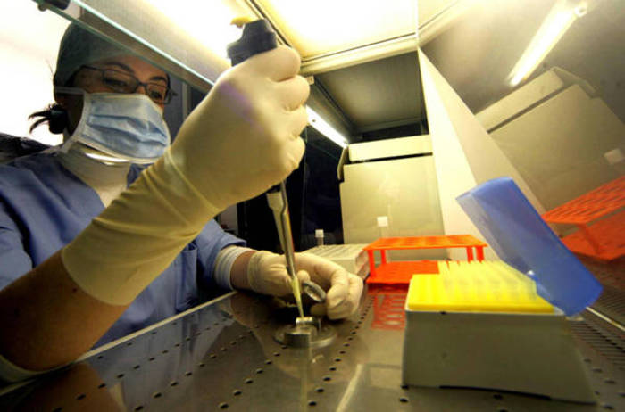 Medico durante fecondazione assistita - 2