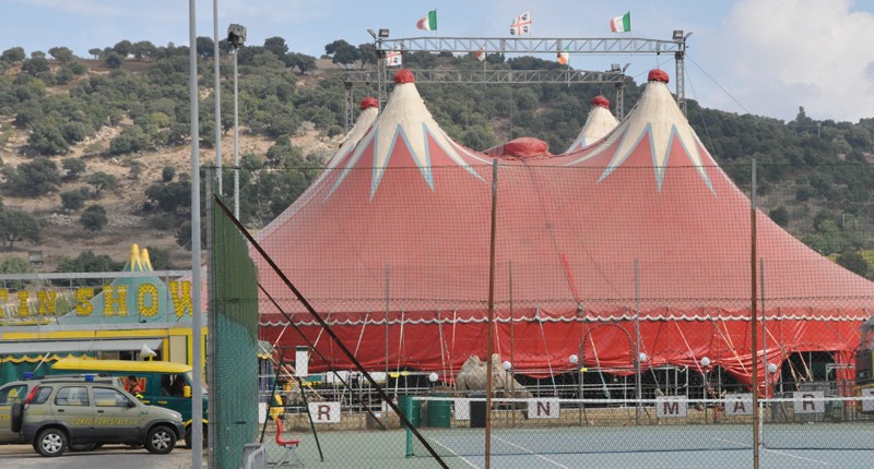 Operazione Golden Circus