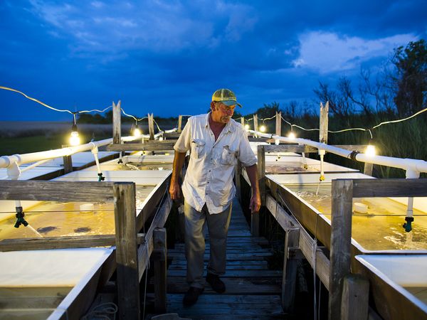 Tangier e Smith Island, Usa