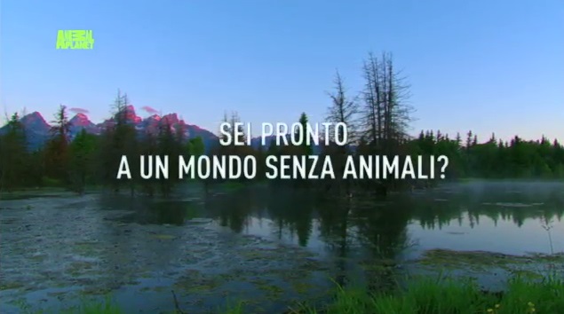 Animal Planet